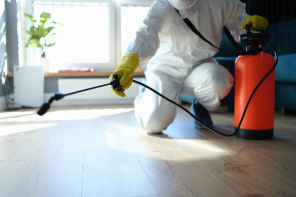Reliable Hoarding Cleanup contractor in Fredericksburg, VA by Trauma Clean Pros